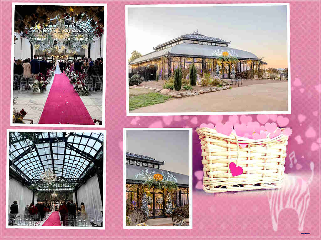 Say ‘I Do’ Among the Blooms: Planning a Stunning Greenhouse Wedding